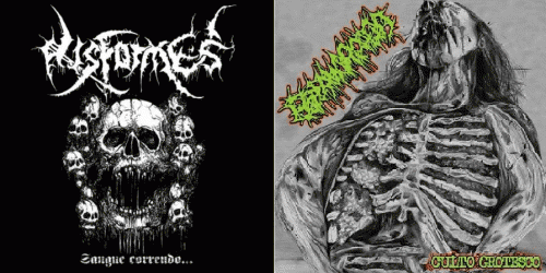 Espermorragia : Disformes - Espermorragia